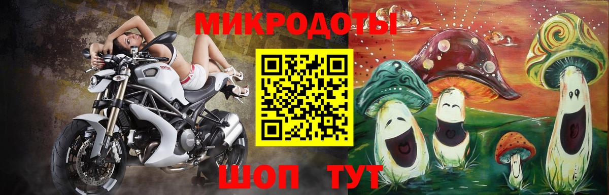Галлюциногенные грибы ЛСД Кондопога